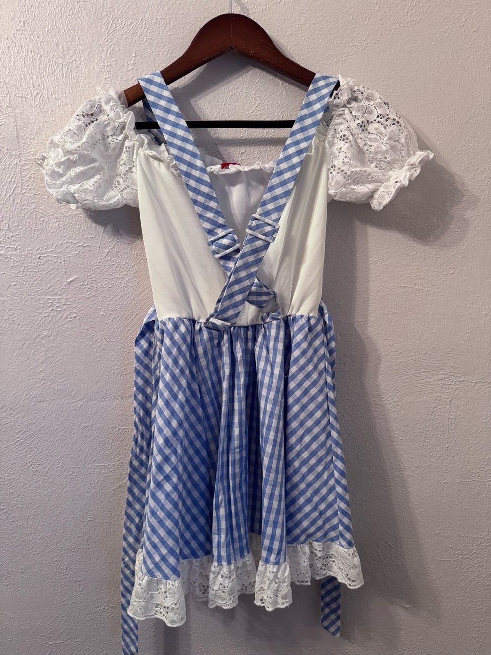 Dorthy Halloween Costume - Picture 3 of 5
